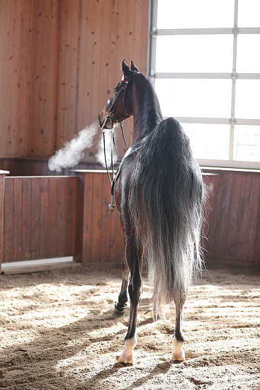 Meraki Farm Dec 2025