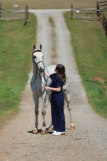 Silvers Stables - Ray