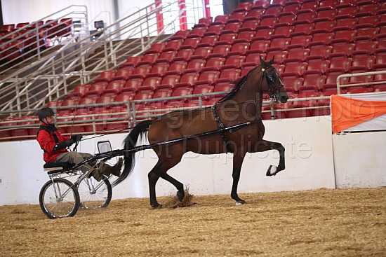 Smoky Mountain Equine Fest 2026